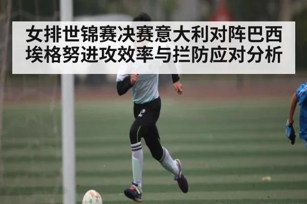 女排世锦赛决赛意大利对阵巴西 埃格努进攻效率与拦防应对分析